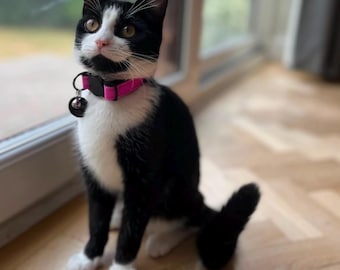 Reflective Cat Collar – Safety Breakaway Collar for Cats – Night Visibility – Multi Colour Pet Collar