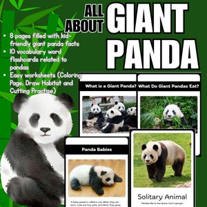 May include: A green educational poster titled "All About Giant Panda" with a panda illustration. The poster includes facts, vocabulary flashcards, and worksheets. Images show pandas eating, panda babies, and a solitary panda.