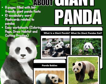 GIANT PANDA ANATOMY, Giant Panda Printable, Zoology Homeschool