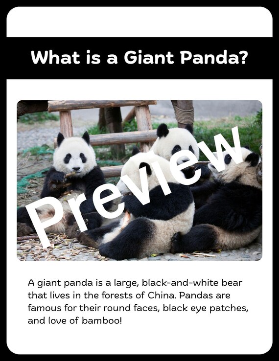 All About Giant Panda for Kids | 8 Pages of Panda Facts + 10 Words