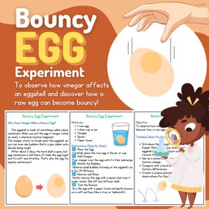 May include: A colorful illustration showing a science experiment to make a bouncy egg. The illustration shows a raw egg being submerged in a glass of vinegar, with bubbles forming on the eggshell. The text explains the process and the science behind it.