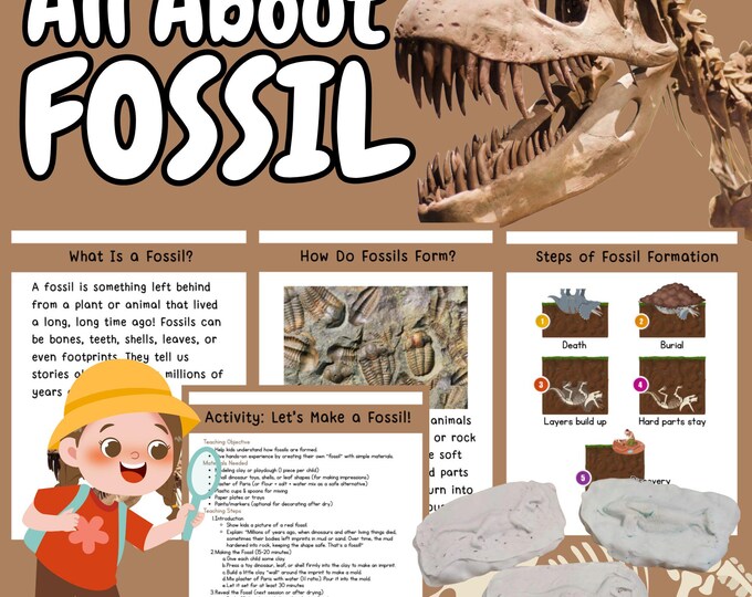 How a Dinosaur Fossil is Formed Foldable Sequencing Activity Printable ...