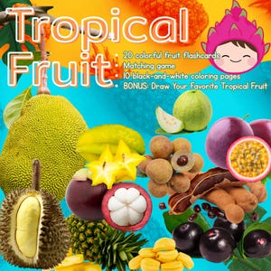 Tropical Fruits Fun Pack for Kids, Flashcards, Coloring pages & Matching game