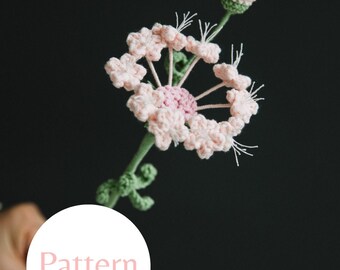Lace Flower Crochet Pattern PDF | Trachymene Coerulea Tutorial | Botanical Amigurumi DIY Home Decor