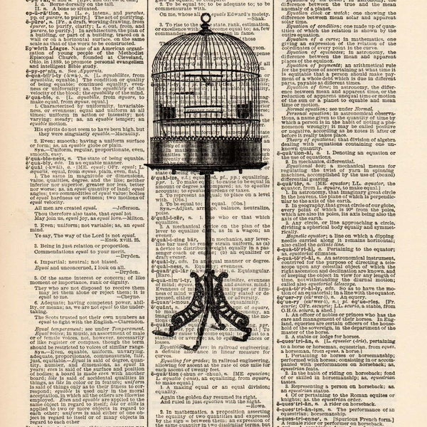 Bird Cage Art Print on Vintage Dictionary Page