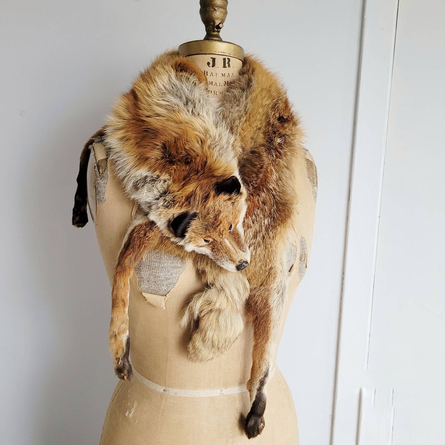 Vintage fox fur collar shop with head