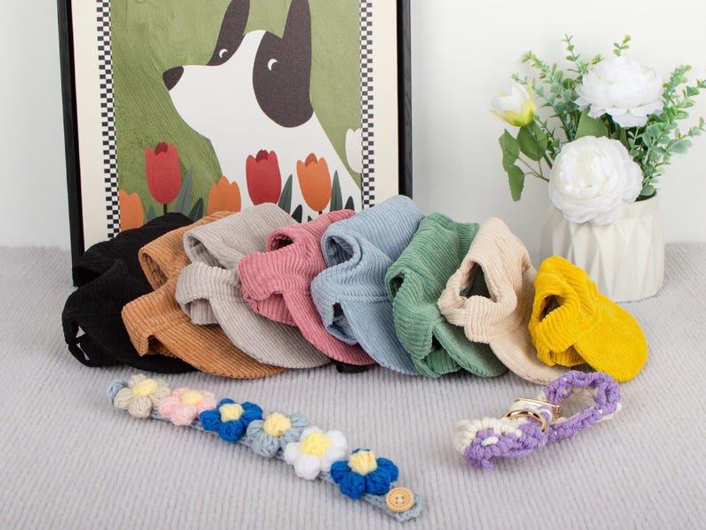 Pu&ograve; includere: Una collezione di cappelli per cani in velluto a coste in vari colori, tra cui nero, marrone, rosa, blu, verde, beige e giallo. Sono esposti anche un collare di fiori all'uncinetto e un guinzaglio viola. Un'illustrazione di cane incorniciata &egrave; sullo sfondo.