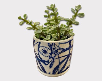 Succulent ceramic planter