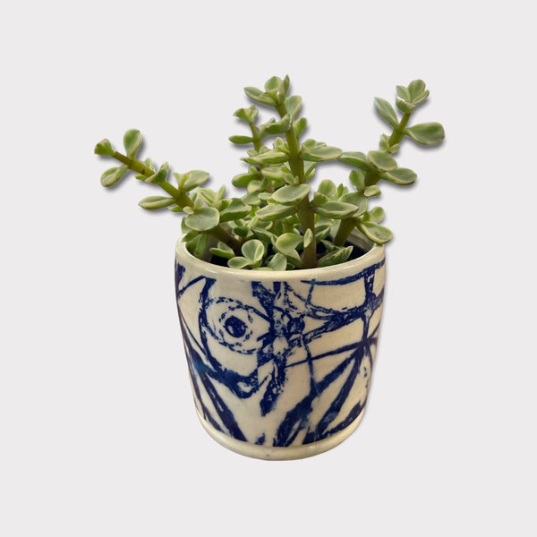 Succulent ceramic planter