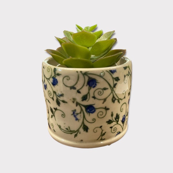 Succulent ceramic planter