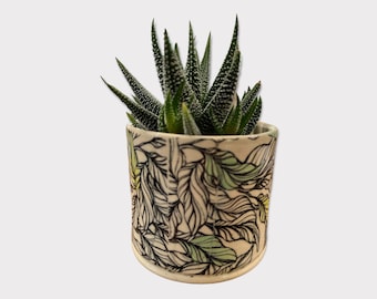 Succulent ceramic planter