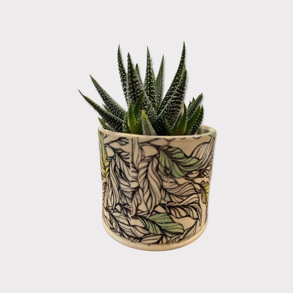 Succulent ceramic planter