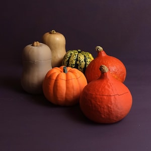 Pumpkin Bowls Decorative Storage in Pumpkin Shape for Fall and Halloween