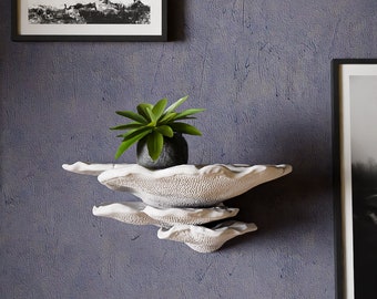 big Mushroom Shelf Trametes Gibbosa, Customizable colors and three different sizes