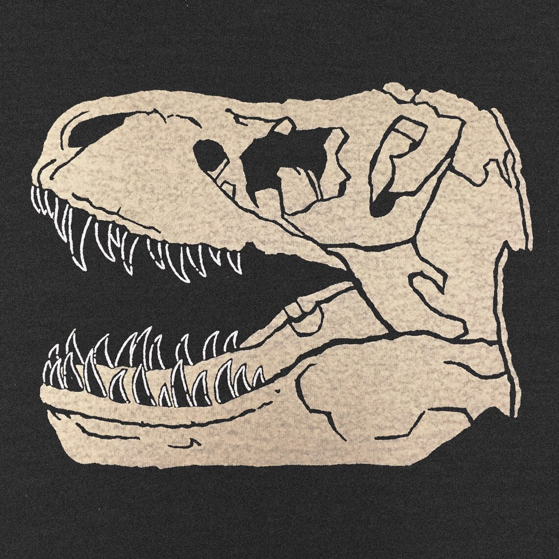 trex fossil