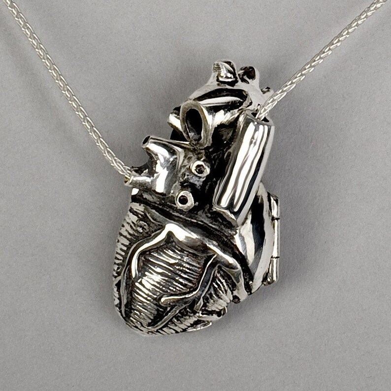 Original Silver Anatomical Heart Locket 28 inch chain | Etsy