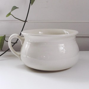 May include: A white ceramic bowl with a handle. The bowl has a rounded shape and a wide rim. A green plant with leaves is in the background. The bowl is sitting on a white surface.