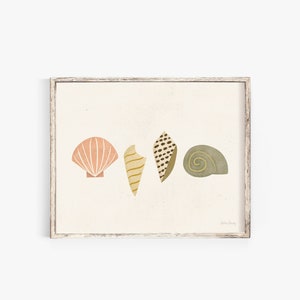 Beach Shells Wall Art Print