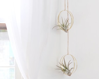 Metal Orb Air Plant Hanger | Air Plant Holder | Air Plant Hanger | Air Plant Planter | Airplant Holder | Airplant Hanger | Display