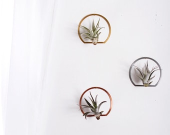 Arch Frame Air Plant Wall Holder | Air Plant Holder | Air Plant Hanger | Air Plant Planter | Airplant Holder | Airplant Hanger | Display