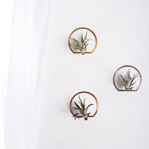 Arch Frame Air Plant Wall Holder | Air Plant Holder | Air Plant Hanger | Air Plant Planter | Airplant Holder | Airplant Hanger | Display