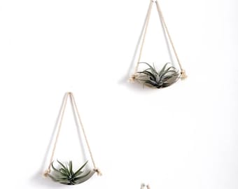 Air Plant Wall Holder Curved Shelf | Air Plant Holder | Air Plant Hanger | Air Plant Planter | Airplant Holder | Airplant Hanger | Display