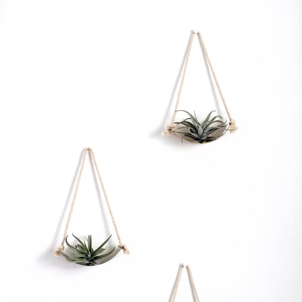 Air Plant Wall Holder Curved Shelf | Air Plant Holder | Air Plant Hanger | Air Plant Planter | Airplant Holder | Airplant Hanger | Display