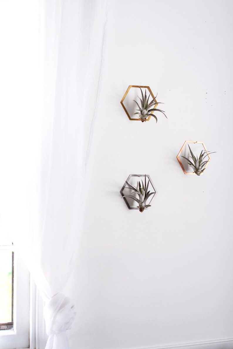 Hexagon Frame Air Plant Wall Holder Air Plant Holder Air Plant Hanger Air Plant Planter Airplant Holder Airplant Hanger Display image 1