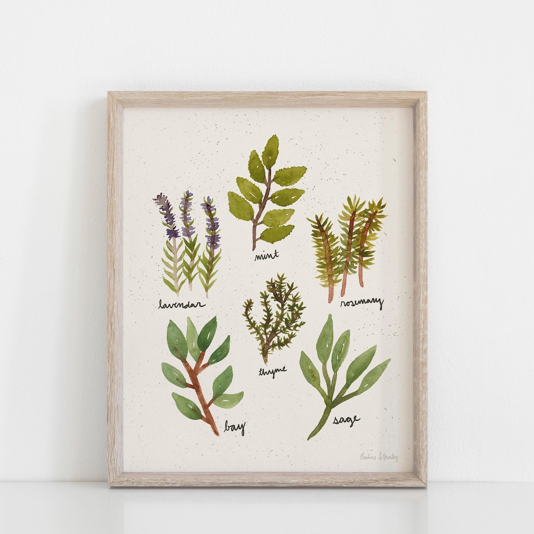 Herbs Watercolor Art Print - Etsy