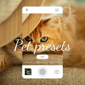 May include: A smartphone app screen displaying a photo of a ginger cat with green eyes. The text "Pet presets" is displayed on the screen. The app has a camera icon and a zoom slider.