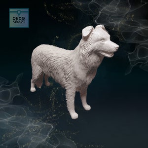 Realistic 3D Collie Art - Stunning Handmade Dog Sculpture - Perfect Pet Lover Gift