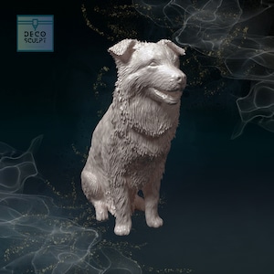 Realistic 3D Collie Art - Ideal for Pet Enthusiasts - Perfect Pet Lover Gift