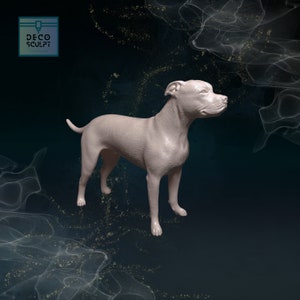 Beautiful 3D Staffordshire Bull Terrier Art - Unique Pet Lover Gift - Staffy Bull Terrier Collectible!