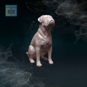 Realistic Dogue de Bordeaux Sculpture - Unique Pet Lover Gift - 3D Dogue de Bordeaux Art!