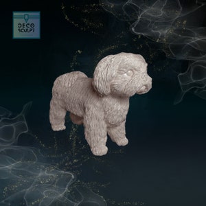 Adorable 3D Shih Tzu Art - Perfect Gift for Dog Lovers - Elegant Shih Tzu Dog Art!