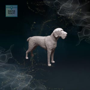 Realistic 3D Deutsch Drahthaar Model - Ideal Pet Memorial Gift - Elegant Home Decor Piece