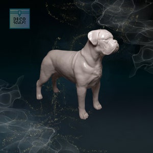 Stunning 3D Dogue de Bordeaux Art - Unique Pet Lover Gift - Dogue de Bordeaux Sculpture!