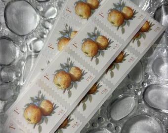 Albermarle Pippin Apples Vintage Unused Postage// 2017 // 1c Apples // #5032