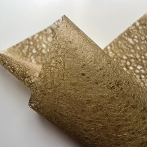 Mulberry Asarakusui Brown Lace Washi Paper, Exquisite Thai Sheets | Great for Artists & Crafters Projects 94x64cm 27gsm