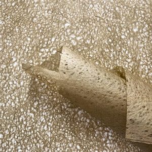 Handmade Brown Mulberry Paper Sheet, Asarakusui Natural Lace Washi for Collage, Bookbinding, Lampshades, Eco Arts & Crafts, Scrapbooking