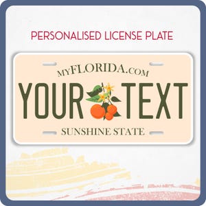Plaque d'immatriculation personnalisée FLORIDE pour voitures, camions, motos et vélos, plaques d'immatriculation personnalisées pour véhicule autocollant FLORIDE en vinyle