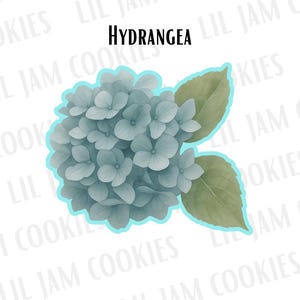 May include: A cookie cutter shaped like a hydrangea flower with a light blue outline. The design features a cluster of blue-grey hydrangea petals and two green leaves. The word HYDRANGEA is printed in black text above the flower illustration.