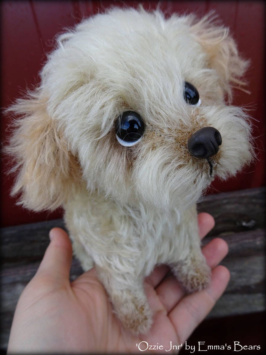 Tea cup maltese terrier cheap