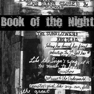 Book of the Night Workbook Instant Download-Visual Journaling on Black pages w/ Juliana Coles image 1