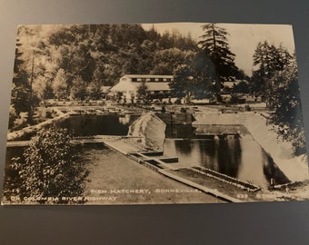 Vintage Fish Hatchery Photo Postcard, Columbia River Highway, Oregon, 432