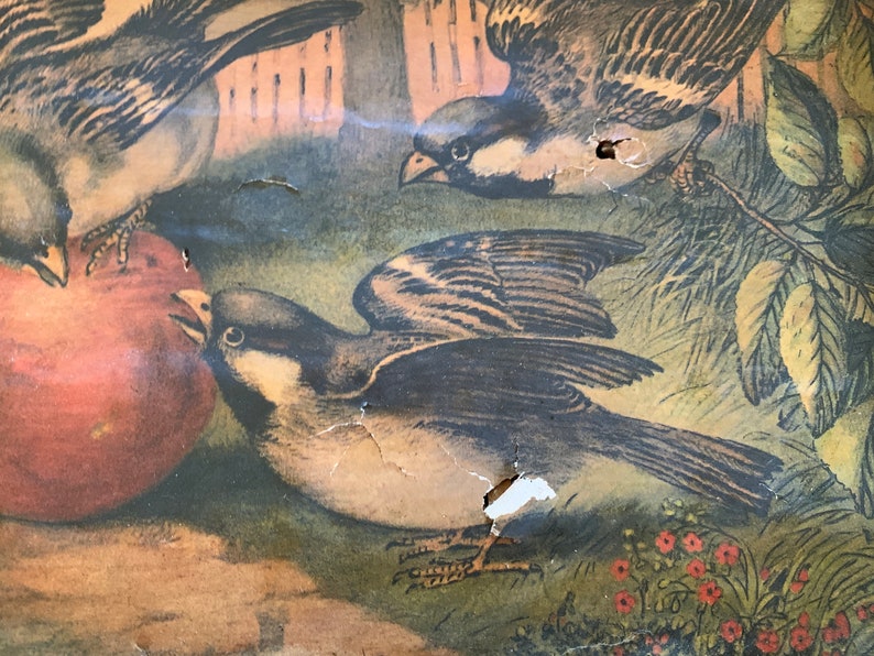 Basket with birds and apples made in Japan