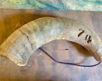 Old Cow or Bull Horn, Steer Horn, Vintage Powder Horn