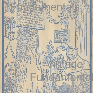 Early Smokey the Bear Ad, Coloring Page, Vintage Woodland Image, Digital, Forest Fires