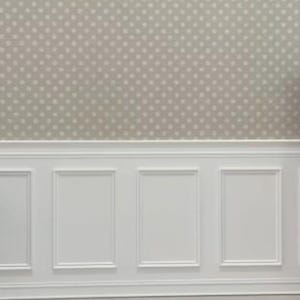 May include: A section of a wall featuring white wainscoting and a light gray polka dot wallpaper. The wainscoting has rectangular panels with a raised border. The wallpaper has a repeating pattern of small, white polka dots.