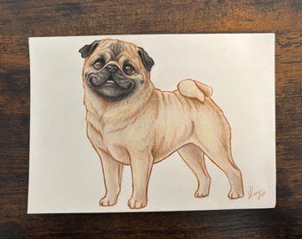 Original OOAK Pug Illustration